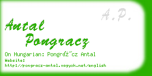 antal pongracz business card